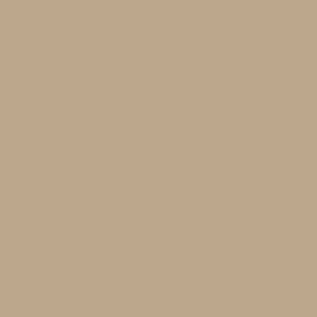 CC-330 Hillsborough Beige - Paint Color | The Color Palette Paint