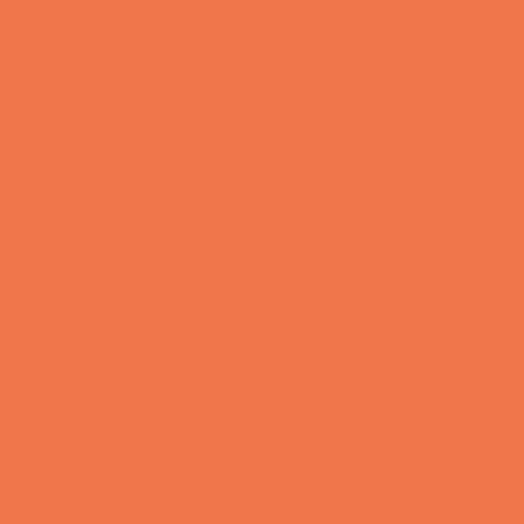 084 Fiesta Orange - Paint Color | The Color Palette Paint Store