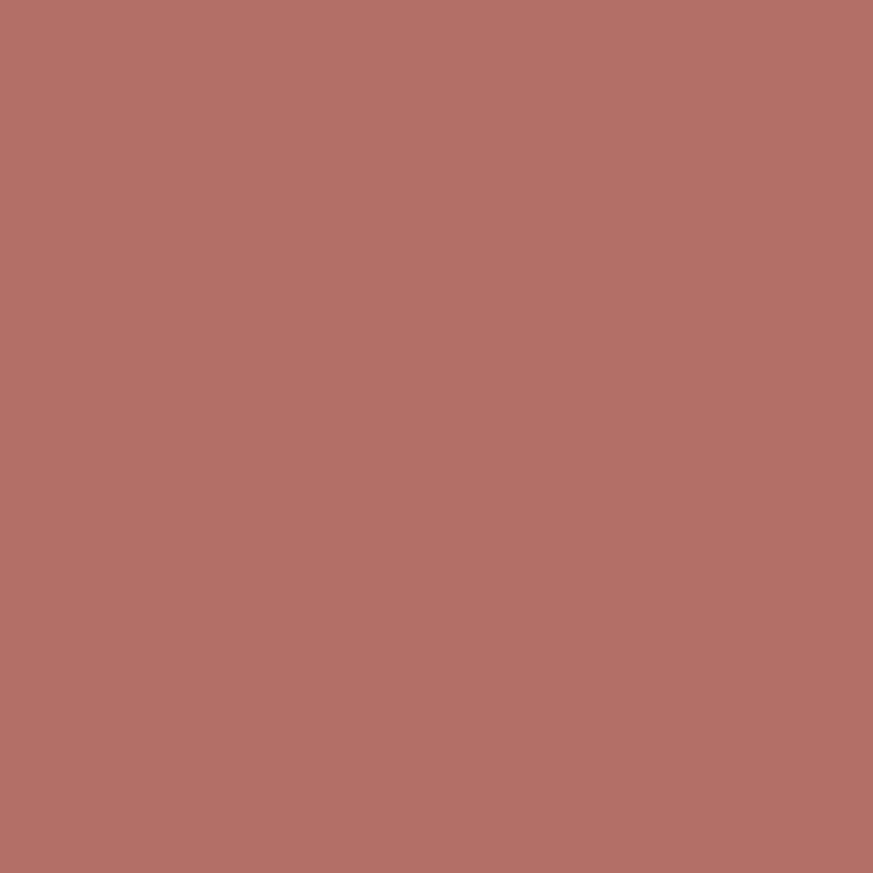2091-40 Red River Clay - Paint Color