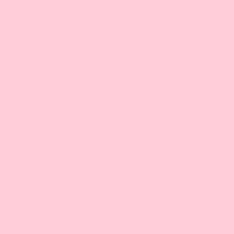 Paint pink discount